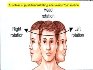 Atlantoaxial joint demonstrating side-to-side “no” motion 