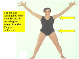The ball-and-socket joints of the shoulder and hip provide  great range of motion ! They are multiaxial. 