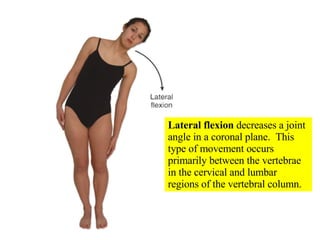 Lateral flexion  decreases a joint angle in a coronal plane.  This type of movement occurs primarily between the vertebrae in the cervical and lumbar regions of the vertebral column. 