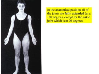 In the anatomical position all of the joints are  fully extended  (at a 180 degrees, except for the ankle joint which is at 90 degrees. 
