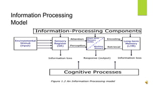 Information Processing
Model
 