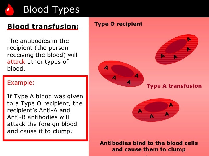08 blood types