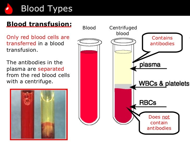 Types of blood cells images