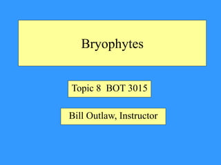Bryophytes
Topic 8 BOT 3015
Bill Outlaw, Instructor
 