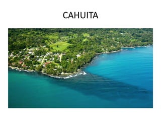 CAHUITA
 