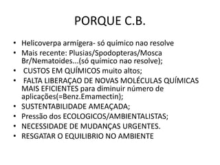 PORQUE C.B. 
•Helicoverpa armígera- só químico nao resolve 
•Mais recente: Plusias/Spodopteras/Mosca Br/Nematoides...(só químico nao resolve); 
• CUSTOS EM QUÍMICOS muito altos; 
• FALTA LIBERAÇAO DE NOVAS MOLÉCULAS QUÍMICAS MAIS EFICIENTES para diminuir número de aplicações(=Benz.Emamectin); 
•SUSTENTABILIDADE AMEAÇADA; 
•Pressão dos ECOLOGICOS/AMBIENTALISTAS; 
•NECESSIDADE DE MUDANÇAS URGENTES. 
•RESGATAR O EQUILIBRIO NO AMBIENTE  