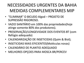 NECESSIDADES URGENTES DA BAHIA MEDIDAS COMPLEMENTARES MIP 
•“ELIMINAR” O BICUDO Algod – PROJETO DE SUPRESSÃO RIGOROSO. 
•VAZIO SANITÁRIO em 100% das propriedades(hoje atinge somente 80% dos produtores). 
•PRESERVAÇÃO/LONGEVIDADE DOS EVENTOS BT (com Refúgio adequado) 
•CALENDARIZAÇÃO DE INSETICIDAS (Quim & Biol); 
•INSETICIDAS MAIS EFICIENTES(Moléculas novas) 
•CALENDÁRIO DE PLANTIO ADEQUADO 
•MELHORES OPÇOES PARA MOSCA BR/PERCEV  