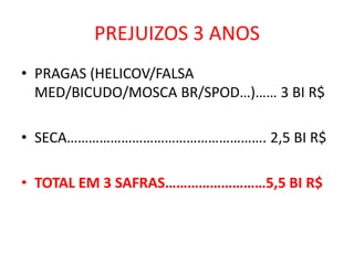 PREJUIZOS 3 ANOS 
•PRAGAS (HELICOV/FALSA MED/BICUDO/MOSCA BR/SPOD…)…… 3 BI R$ 
•SECA………………………………………………. 2,5 BI R$ 
•TOTAL EM 3 SAFRAS………………………5,5 BI R$  
