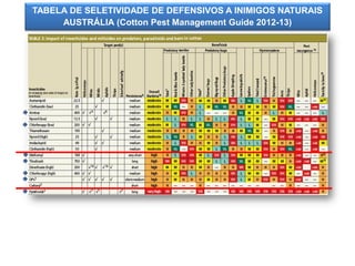 TABELA DE SELETIVIDADE DE DEFENSIVOS A INIMIGOS NATURAIS 
AUSTRÁLIA (Cotton Pest Management Guide 2012-13)  