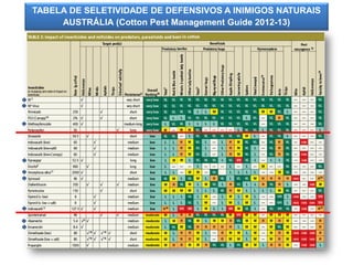 TABELA DE SELETIVIDADE DE DEFENSIVOS A INIMIGOS NATURAIS 
AUSTRÁLIA (Cotton Pest Management Guide 2012-13)  
