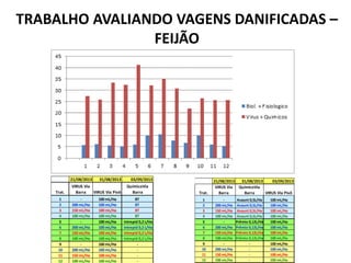 TRABALHO AVALIANDO VAGENS DANIFICADAS – 
FEIJÃO 
21/08/2013 31/08/2013 03/09/2013 
Trat. 
VIRUS Via 
Barra VIRUS Via Pivô 
QuímicoVia 
Barra 
1 - 100 mL/Ha BT 
2 200 mL/Ha 100 mL/Ha BT 
3 150 mL/Ha 100 mL/Ha BT 
4 100 mL/Ha 100 mL/Ha BT 
5 - 100 mL/Ha Intrepid 0,2 L/Ha 
6 200 mL/Ha 100 mL/Ha Intrepid 0,2 L/Ha 
7 150 mL/Ha 100 mL/Ha Intrepid 0,2 L/Ha 
8 100 mL/Ha 100 mL/Ha Intrepid 0,2 L/Ha 
9 - 100 mL/Ha - 
10 200 mL/Ha 100 mL/Ha - 
11 150 mL/Ha 100 mL/Ha - 
12 100 mL/Ha 100 mL/Ha - 
21/08/2013 31/08/2013 03/09/2013 
Trat. 
VIRUS Via 
Barra 
QuímicoVia 
Barra VIRUS Via Pivô 
1 - Avaunt 0,5L/Ha 100 mL/Ha 
2 200 mL/Ha Avaunt 0,5L/Ha 100 mL/Ha 
3 150 mL/Ha Avaunt 0,5L/Ha 100 mL/Ha 
4 100 mL/Ha Avaunt 0,5L/Ha 100 mL/Ha 
5 - Prêmio 0,12L/Há 100 mL/Ha 
6 200 mL/Ha Prêmio 0,12L/Ha 100 mL/Ha 
7 150 mL/Ha Prêmio 0,12L/Ha 100 mL/Ha 
8 100 mL/Ha Prêmio 0,12L/Ha 100 mL/Ha 
9 - - 100 mL/Ha 
10 200 mL/Ha - 100 mL/Ha 
11 150 mL/Ha - 100 mL/Ha 
12 100 mL/Ha - 100 mL/Ha 
 