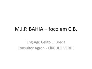 M.I.P. BAHIA – foco em C.B. 
Eng.Agr. Celito E. Breda 
Consultor Agron.- CÍRCULO VERDE  