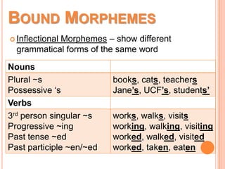BOUND MORPHEMES
 Inflectional Morphemes – show different
grammatical forms of the same word
Nouns
Plural ~s
Possessive ‘s
books, cats, teachers
Jane’s, UCF’s, students’
Verbs
3rd person singular ~s
Progressive ~ing
Past tense ~ed
Past participle ~en/~ed
works, walks, visits
working, walking, visiting
worked, walked, visited
worked, taken, eaten
 