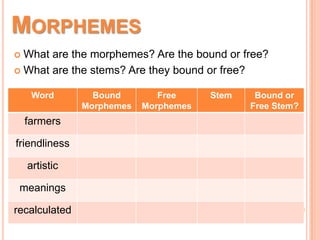 MORPHEMES
 What are the morphemes? Are the bound or free?
 What are the stems? Are they bound or free?
Word Bound
Morphemes
Free
Morphemes
Stem Bound or
Free Stem?
farmers
friendliness
artistic
meanings
recalculated
 