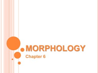 MORPHOLOGY
Chapter 6
 