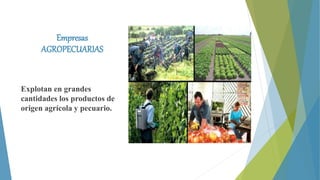 Empresas
AGROPECUARIAS
Explotan en grandes
cantidades los productos de
origen agrícola y pecuario.
 