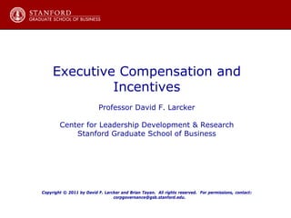 CEO Compensation - Quick Guide | PDF