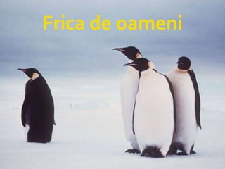 Frica de oameni 