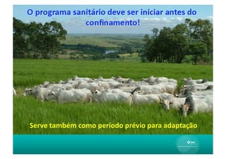 Serve	
  também	
  como	
  período	
  prévio	
  para	
  adaptação	
  
 