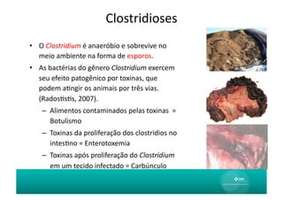 Clostridioses
                                               	
  
•  O	
  Clostridium	
  é	
  anaeróbio	
  e	
  sobrevive	
  no	
  
   meio	
  ambiente	
  na	
  forma	
  de	
  esporos.	
  
•  As	
  bactérias	
  do	
  gênero	
  Clostridium	
  exercem	
  
   seu	
  efeito	
  patogênico	
  por	
  toxinas,	
  que	
  
   podem	
  aAngir	
  os	
  animais	
  por	
  três	
  vias.	
  
   (RadosAsAs,	
  2007).	
  
     –  Alimentos	
  contaminados	
  pelas	
  toxinas	
  	
  =	
  
        Botulismo	
  
     –  Toxinas	
  da	
  proliferação	
  dos	
  clostridios	
  no	
  
        intesAno	
  =	
  Enterotoxemia	
  
     –  Toxinas	
  após	
  proliferação	
  do	
  Clostridium	
  
        em	
  um	
  tecido	
  infectado	
  =	
  Carbúnculo	
  
 