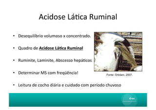 Acidose	
  LáAca	
  Ruminal
                                             	
  

•  Desequilíbrio	
  volumoso	
  x	
  concentrado.	
  

•  Quadro	
  de	
  Acidose	
  Lá0ca	
  Ruminal	
  

•  Ruminite,	
  Laminite,	
  Abscesso	
  hepáAcos	
  

•  Determinar	
  MS	
  com	
  freqüência!	
                            Fonte: Ortolani, 2007.



•  Leitura	
  de	
  cocho	
  diária	
  e	
  cuidado	
  com	
  período	
  chuvoso	
  
 