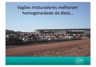 Vagões	
  misturadores	
  melhoram	
  
  homogeneidade	
  da	
  dieta...
                                	
  
 