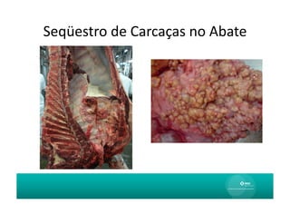 Seqüestro	
  de	
  Carcaças	
  no	
  Abate	
  
 
