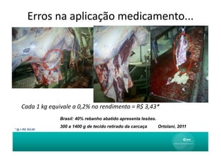 Erros	
  na	
  aplicação	
  medicamento...
                                                  	
  




     Cada	
  1	
  kg	
  equivale	
  a	
  0,2%	
  no	
  rendimento	
  =	
  R$	
  3,43*	
  
                            Brasil: 40% rebanho abatido apresenta lesões.
                            300 a 1400 g de tecido retirado da carcaça                 Ortolani, 2011
* @ = R$ 103,00
 