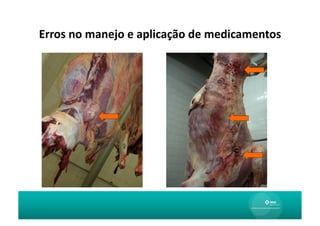Erros	
  no	
  manejo	
  e	
  aplicação	
  de	
  medicamentos
                                                            	
  
 