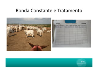 Ronda	
  Constante	
  e	
  Tratamento	
  
 