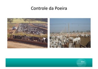 Controle	
  da	
  Poeira	
  
 