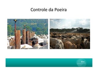 Controle	
  da	
  Poeira	
  
 