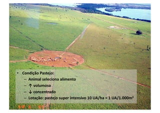 •  Condição	
  Pastejo:	
  
    –  Animal	
  seleciona	
  alimento	
  
    –  ↑	
  volumoso	
  
    –  ↓	
  concentrado	
  
    –  Lotação:	
  pastejo	
  super	
  intensivo	
  10	
  UA/ha	
  =	
  1	
  UA/1.000m2	
  
 