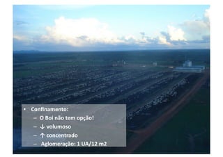 •  Conﬁnamento:	
  
    –  O	
  Boi	
  não	
  tem	
  opção!	
  
    –  ↓	
  volumoso	
  
    –  ↑	
  concentrado	
  
    –  	
  Aglomeração:	
  1	
  UA/12	
  m2	
  
 