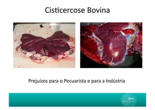 CisAcercose	
  Bovina	
  




Prejuízos	
  para	
  o	
  Pecuarista	
  e	
  para	
  a	
  Indústria	
  
 