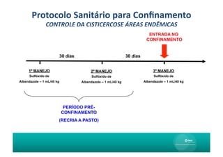 Protocolo	
  Sanitário	
  para	
  Conﬁnamento	
  
               CONTROLE	
  DA	
  CISTICERCOSE	
  ÁREAS	
  ENDÊMICAS	
  
                                                                            ENTRADA NO
                                                                           CONFINAMENTO


                           30 dias                              30 dias


     1º MANEJO                            2º MANEJO                            3º MANEJO
      Sulfóxido de                         Sulfóxido de                         Sulfóxido de
Albendazole – 1 mL/40 kg             Albendazole – 1 mL/40 kg             Albendazole – 1 mL/40 kg




                            PERÍODO PRÉ-
                           CONFINAMENTO
                       (RECRIA A PASTO)
 