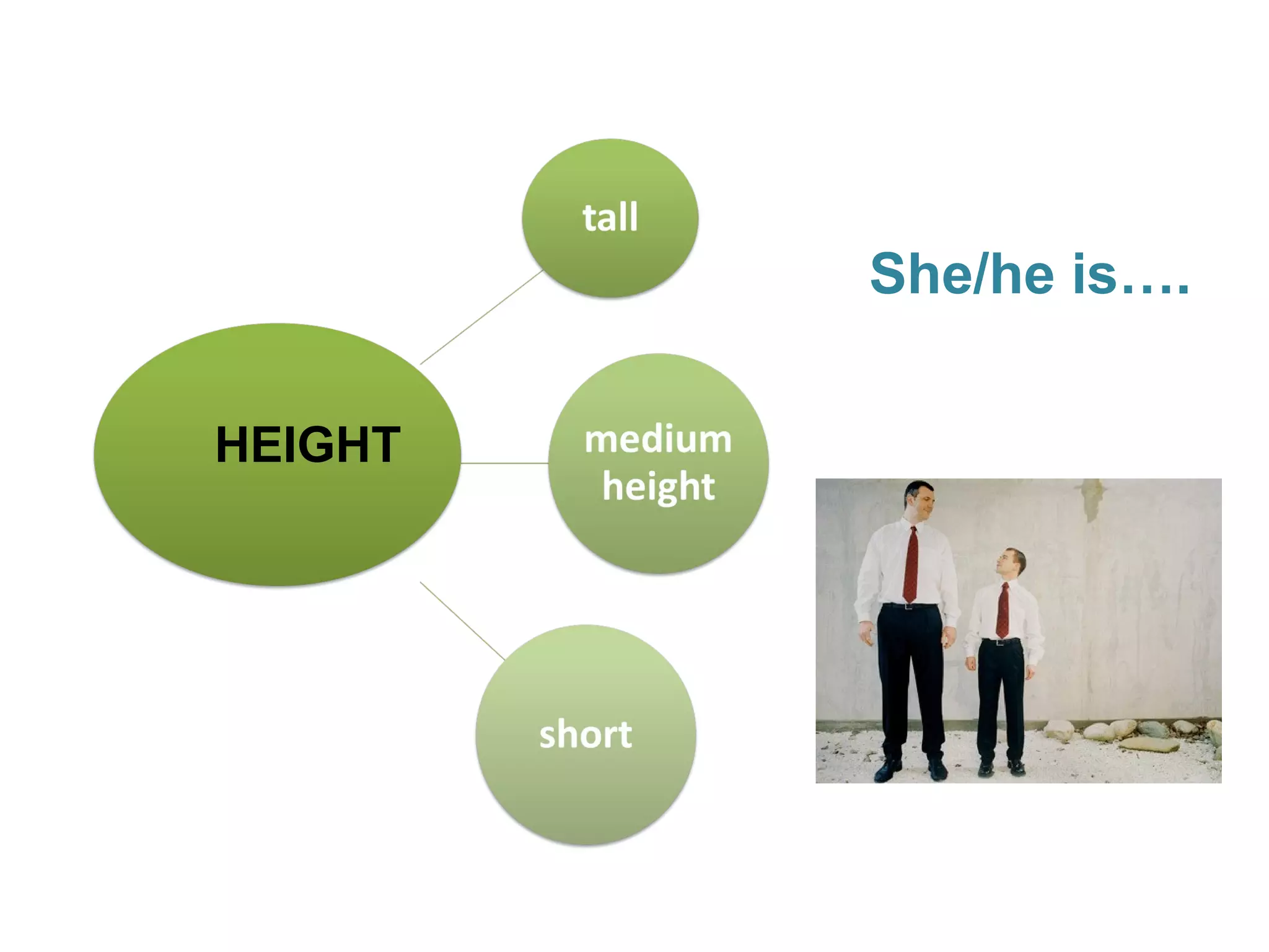 She/he is….
HEIGHT