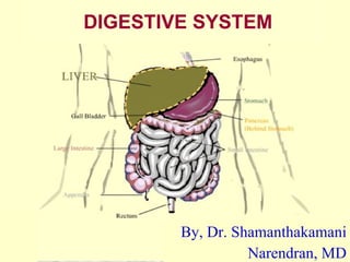 DIGESTIVE SYSTEM By, Dr. Shamanthakamani Narendran, MD 