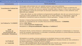 Gestão Ambiental 08 - eia e rima