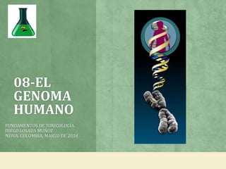 08-EL
GENOMA
HUMANO
FUNDAMENTOS DE TOXICOLOGÍA
DIEGO LOSADA MUÑOZ
NEIVA, COLOMBIA, MARZO DE 2018
 