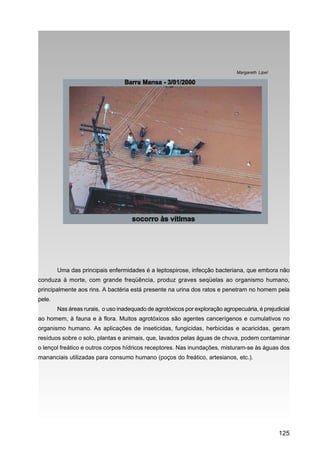 Margareth Lipel




        Uma das principais enfermidades é a leptospirose, infecção bacteriana, que embora não
conduza à morte, com grande freqüência, produz graves seqüelas ao organismo humano,
principalmente aos rins. A bactéria está presente na urina dos ratos e penetram no homem pela
pele.
        Nas áreas rurais, o uso inadequado de agrotóxicos por exploração agropecuária, é prejudicial
ao homem, à fauna e à flora. Muitos agrotóxicos são agentes cancerígenos e cumulativos no
organismo humano. As aplicações de inseticidas, fungicidas, herbicidas e acaricidas, geram
resíduos sobre o solo, plantas e animais, que, lavados pelas águas de chuva, podem contaminar
o lençol freático e outros corpos hídricos receptores. Nas inundações, misturam-se às águas dos
mananciais utilizadas para consumo humano (poços do freático, artesianos, etc.).




                                                                                                 125
 