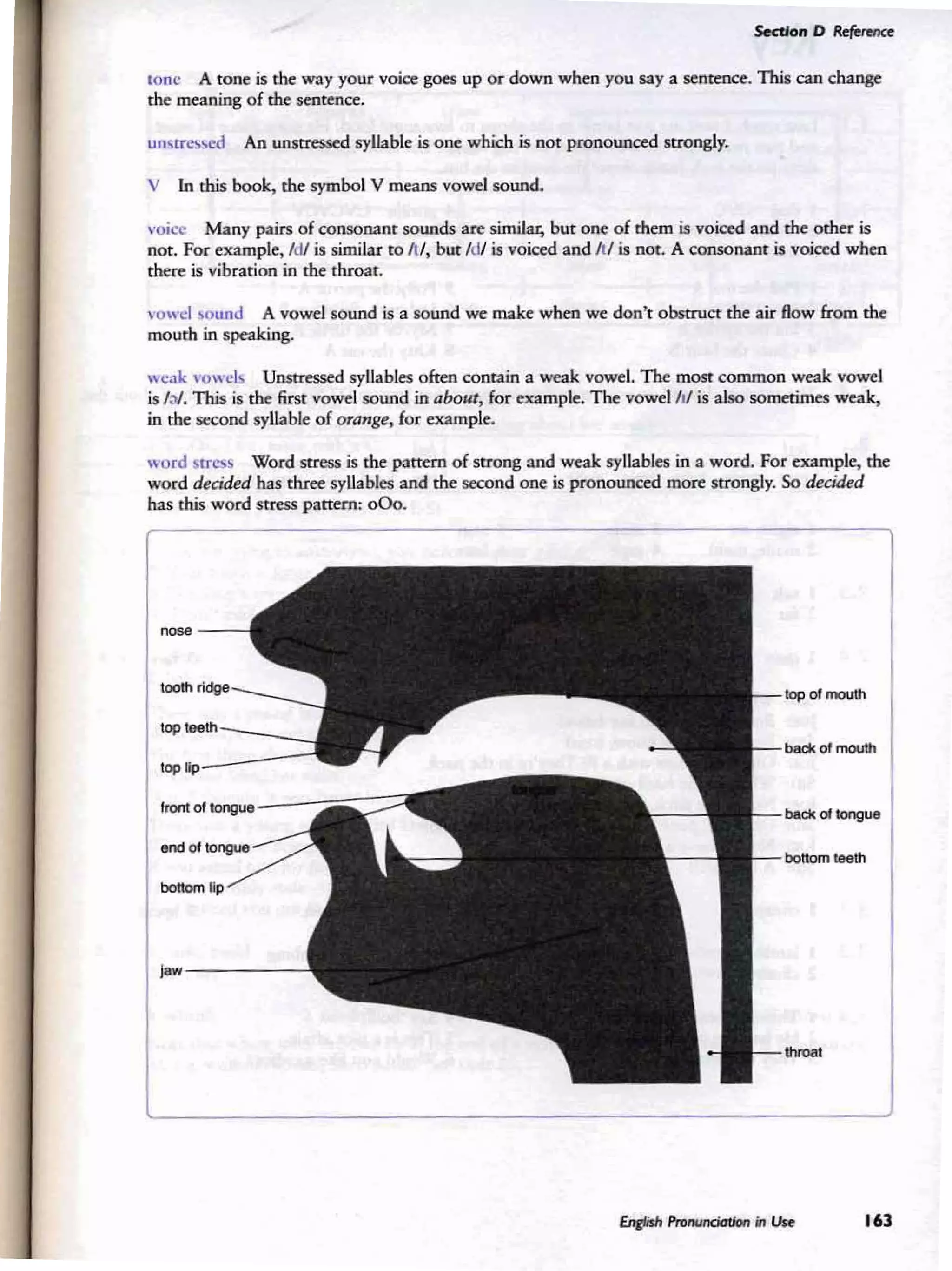 jow - - - -
"'".,----
..----
EItfIish Proncmc:Xrtion in Use 163
tone A tone is thC' way your voce gOC'S up or down whC'11 you say a sentence. This can change
the meaning of the sentence.
uuvtrc....ccd An unstressed syllable is one which is not pronounced strongly.
•'owel ,ound A vowel sound is a sound we make when WC' don't obstruct the' air flow from the
mouth in speaking.
V In this book. the symbol V mC'aRS ~I sound.
wlIrd ,Ir''''' Word seress is the pattern of strong and weak syllables in a word. For example, the
word d«UUd has rhree syllables and tbC' second OOC' is pronou~ more strongly. So d«4kd
has this word suns pattern; 000.
weak 11w c1, Unstressed syllabIC'S often conta in a weak vowel. The most common weak vowel
is/.v.This is tbe first ~I sound in about, for example. The vowel iii is also SOtnC'rimC's weak,
in the second syllable of orallgC', for example.
voice Man y pairs of consonant sounds are similar:, bur one of them is voiced and the oeber is
not. For example, IdJ is similar to It.!, but IdJis voiced and It.! is not. A consonant is voiced wben
there is vibration in tbC' throat.
 