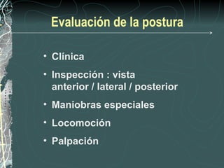 Evaluación de la postura

• Clínica
• Inspección : vista
  anterior / lateral / posterior
• Maniobras especiales
• Locomoción
• Palpación
 