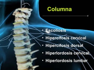 Columna


• Escoliosis
• Hipercifosis cervical
• Hipercifosis dorsal
• Hiperlordosis cervical
• Hiperlordosis lumbar
 