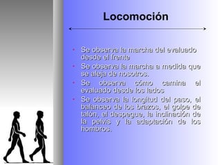 Locomoción

•   Se observa la marcha del evaluado
    desde el frente
•   Se observa la marcha a medida que
    se aleja de nosotros.
•   Se observa cómo camina el
    evaluado desde los lados
•   Se observa la longitud del paso, el
    balanceo de los brazos, el golpe de
    talón, el despegue, la inclinación de
    la pelvis y la adaptación de los
    hombros.
 