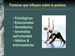 Factores que influyen sobre la postura


  • Fisiológicos
  • Emocionales
  • Hereditarios
  • Anomalías
  estructurales
  • Hábitos &
  entrenamiento
 