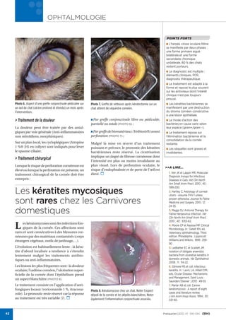 j                 OPHTALMOLOGIE


                                                                                                                           POINTS FORTS
                                                                                                                           ■ L’herpès virose oculaire féline
                                                                                                                           se manifeste par deux phases :
                                                                                                                           une forme primaire aiguë
                                                                                                                           bilatérale et une forme
                                                                                                                           secondaire chronique
                                                                                                                           unilatérale. 80 % des chats
                                                                                                                           restent porteurs.
                                                                                                                           ■ Le diagnostic est multiple :
                                                                                                                           éléments cliniques, PCR,
                                                                                                                           diagnostic thérapeutique.
                                                                                                                           ■ Le traitement est adapté à la
                                                                                                                           forme et repose le plus souvent
                                                                                                                           sur les antiviraux dont l’intérêt
                                                                                                                           clinique n’est pas toujours
                                                                                                                           prouvé.
     Photo 6. Aspect d’une greffe conjonctivale pédiculée sur   Photo 7. Greffe de vetbiosis après kératectomie sur un     ■ Les kératites bactériennes se
     un œil de chat (ulcère profond et étendu) un mois après    chat atteint de séquestre cornéen.                         manifestent par une destruction
     l’intervention.                                                                                                       du stroma cornéen consécutive
                                                                                                                           à une lésion épithéliale.
     > Traitement de la douleur                                 ■ Par greffe conjonctivale libre ou pédiculée,             ■ Le mode d’action des
                                                                partielle ou totale (PHOTO 6) ;                            bactéries en cause varie selon
     La douleur peut être traitée par des antal-                                                                           leur espèce (gram+/gram -).
     giques par voie générale (Anti-inﬂammatoires               ■ Par greffe de biomatériaux (Vetbiosis®) avant            ■ Le traitement repose sur
     non stéroïdiens, morphiniques).                            perforation (PHOTO 7) ;                                    l’élimination bactérienne et la
                                                                                                                           consolidation de la cornée
     Sur un plan local, les cycloplégiques (Atropine            Malgré la mise en œuvre d’un traitement                    restante.
     1 %® [H] en collyre) sont indiqués pour lever              puissant et précoce, le pronostic des kératites            ■ Les séquelles sont graves et
     le spasme ciliaire.                                        bactériennes reste réservé. La cicatrisation               invalidantes.
                                                                implique un degré de ﬁbrose cornéenne dont
     > Traitement chirurgical                                   l’intensité est plus ou moins invalidante au
     Lorsque le risque de perforation cornéenne est             plan visuel. Lors de perforation oculaire, le
                                                                                                                          >>A LIRE...
     élevé ou lorsque la perforation est présente, un           risque d’endophtalmie et de perte de l’œil est
                                                                élevé.                                                       1. Veir JK et Lappin MR. Molecular
     traitement chirurgical de la cornée doit être
                                                                                                                             Diagnosis Assays for Infectious
     entrepris :                                                                                                             Diseases in Cats. Vet Clin North
                                                                                                                             Am Small Anim Pract. 2010 ; 40 :
                                                                                                                             1189-200.
     Les kératites mycosiques                                                                                                2. Hartley C. Aetiology of corneal
                                                                                                                             ulcers - Assume FHV-1 unless

     sont rares chez les Carnivores                                                                                          proven otherwise. Journal fo Feline
                                                                                                                             Medicine and Surgery. 2010 ; 12 :
                                                                                                                             24-35.

     domestiques                                                                                                             3. Maggs DJ. Antiviral Therapy for
                                                                                                                             Feline Herpesvirus Infection. Vet
                                                                                                                             Clin North Am Small Anim Pract.
                                                                                                                             2010 ; 40 : 1055-62.

     L    es kératomycoses sont des infections fon-
          giques de la cornée. Ces affections sont
     rares et sont consécutives à des blessures cor-
                                                                                                                             4. Moore CP et Nasisse MP. Clinical
                                                                                                                             Microbiology. In : Gelatt KN, ed,
                                                                                                                             Veterinary ophthalmology. Third
     néennes par des matériaux contaminés (corps                                                                             edition. Philadelphia : Lippincott
     étrangers végétaux, outils de jardinage,…).                                                                             Williams and Wilkins ; 1999 : 259-
                                                                                                                             90
     L’évolution est habituellement lente : la kéra-                                                                         5. Ledbetter EC et Scarlett JM.
     tite d’abord localisée a tendance à s’étendre                                                                           Isolation of obligate anaerobic
     lentement malgré les traitements antibio-                                                                               bacteria from ulcerative keratitis in
     tiques ou anti-inﬂammatoires.                                                                                           domestic animals. Vet Ophthalmol.
                                                                                                                             2008 ; 11 : 114-22.
     Les lésions les plus fréquentes sont : la douleur                                                                       6. Gilmore MS et coll. Infectious
     oculaire, l’œdème cornéen, l’ulcération super-                                                                          keratitis. In : Levin, LA, Albert DM,
     ﬁcielle de la cornée dont l’épithélium prend                                                                            eds, Ocular Disease- Mechanisms
                                                                                                                             and Management. Saint Louis :
     un aspect blanchâtre (PHOTO 8).
                                                                                                                             Saunders Elsevier ; 2010 : 49-55.
     Le traitement consiste en l’application d’anti-                                                                         7. Marlar AB et coll. Canine
     fongiques locaux (voriconazole 1 %, itracona-                                                                           keratomycosis : A report of eight
                                                                Photo 8. Kératomycose chez un chat. Noter l’aspect
     zole). Le pronostic reste réservé car la réponse                                                                        cases and literature review.
                                                                dépoli de la cornée et les dépôts blanchâtres. Noter         J Am Anim Hosp Assoc. 1994 ; 30 :
     au traitement est très variable [7].                       également l’inﬂammation conjonctivale associée.              331-40.



42                                                                                                                       PratiqueVet (2012) 47 : 590-594 (594)
 