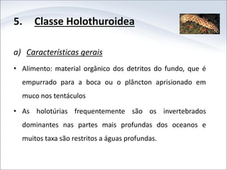 5. Classe Holothuroidea
a) Características gerais
• Alimento: material orgânico dos detritos do fundo, que é
empurrado para a boca ou o plâncton aprisionado em
muco nos tentáculos
• As holotúrias frequentemente são os invertebrados
dominantes nas partes mais profundas dos oceanos e
muitos taxa são restritos a águas profundas.
 