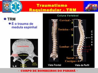 Cervical - 7
Torácica - 12
Lombar - 5
Sacral - 5
Coccígea - 4
TRM
É o trauma de
medula espinhal
Traumatismo
Raquimedular - TRM
 