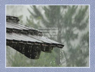 Uma gota no tempo
a demora em crescer
chuva forte na seca
pra te ver, só te ver.
 